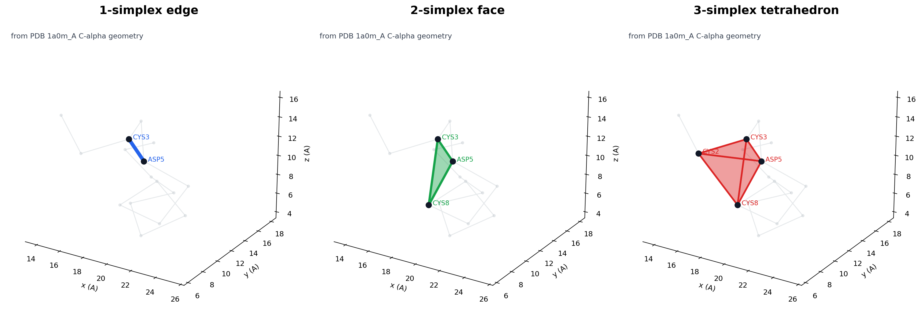 A comparison of 1-, 2-, and 3-simplex protein geometry.